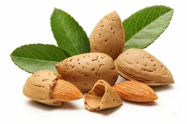 تصویر 2 از فروش بادام سنگی شور + قیمت خرید به صرفه